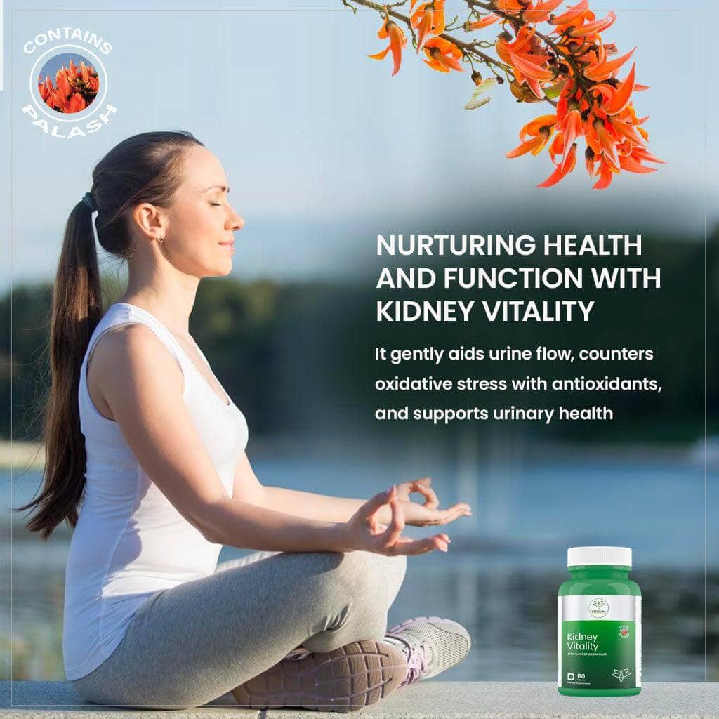 Kidney Vitality: Natural Assistance for Kidney Health and Urinary Wellness - 60 Capsules - VEDICURA